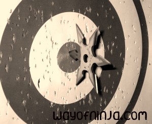 shuriken-wayofninja