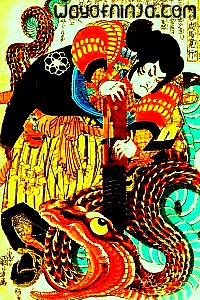 The Gallant Jiraiya The Gallant Jiraiya