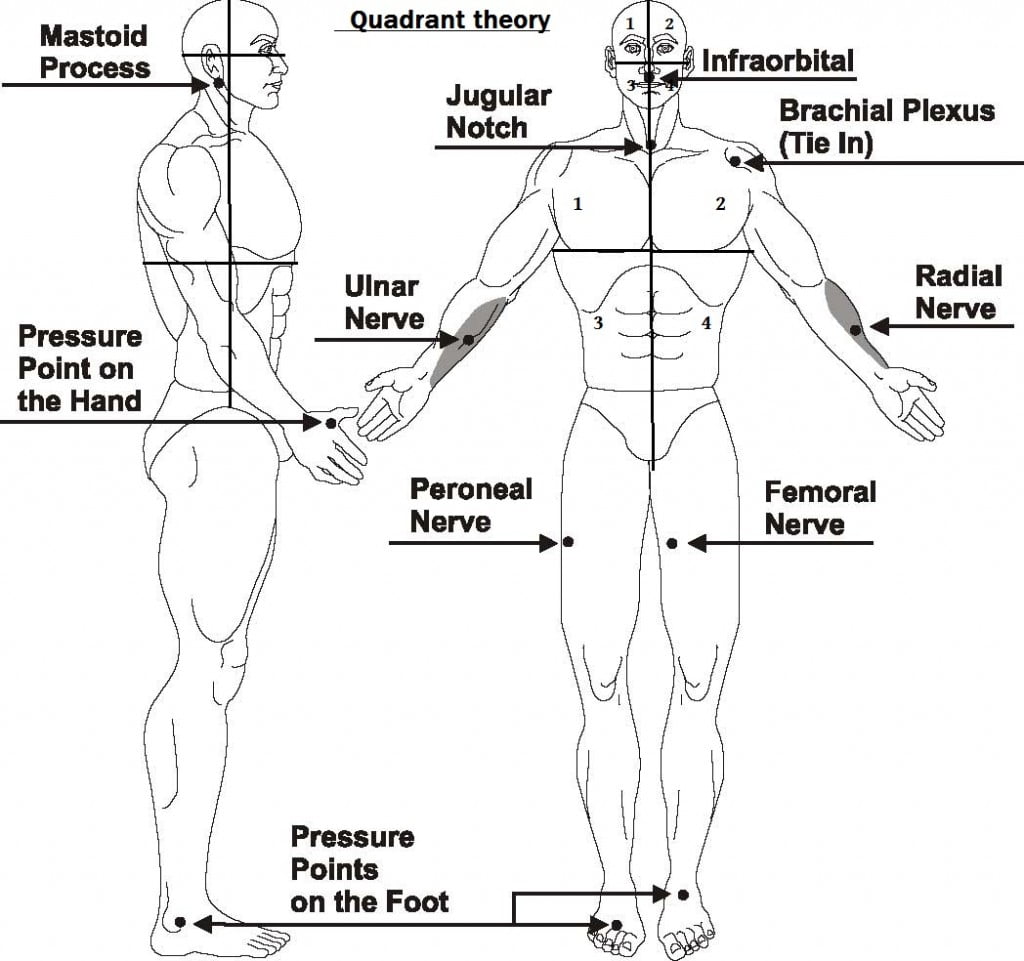 Illustration of Tenketsu Quadrants