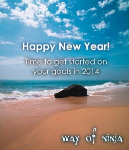 Happy New Year from Way Of Ninja