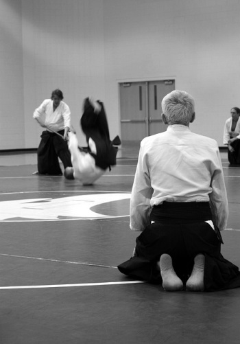 Aikido Observation