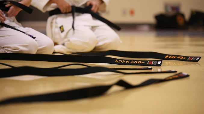 black-belt-894190_1280