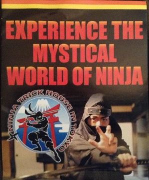 Experience the Mystical World of Ninja