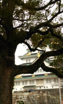 Osaka Castle behind a tree