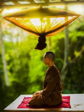 http://wayofninja.com/wp-content/uploads/2017/04/meditation-monk-270x360.jpg