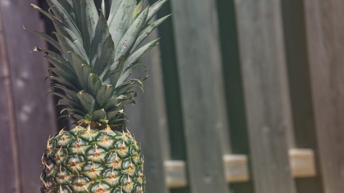 Pineapple - Living with an Autoimmune Disorder