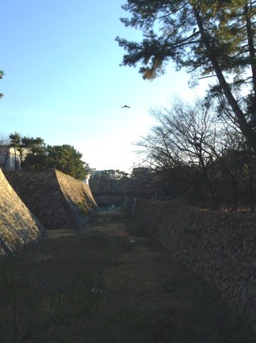 Outer Rings - Nagoya Castle